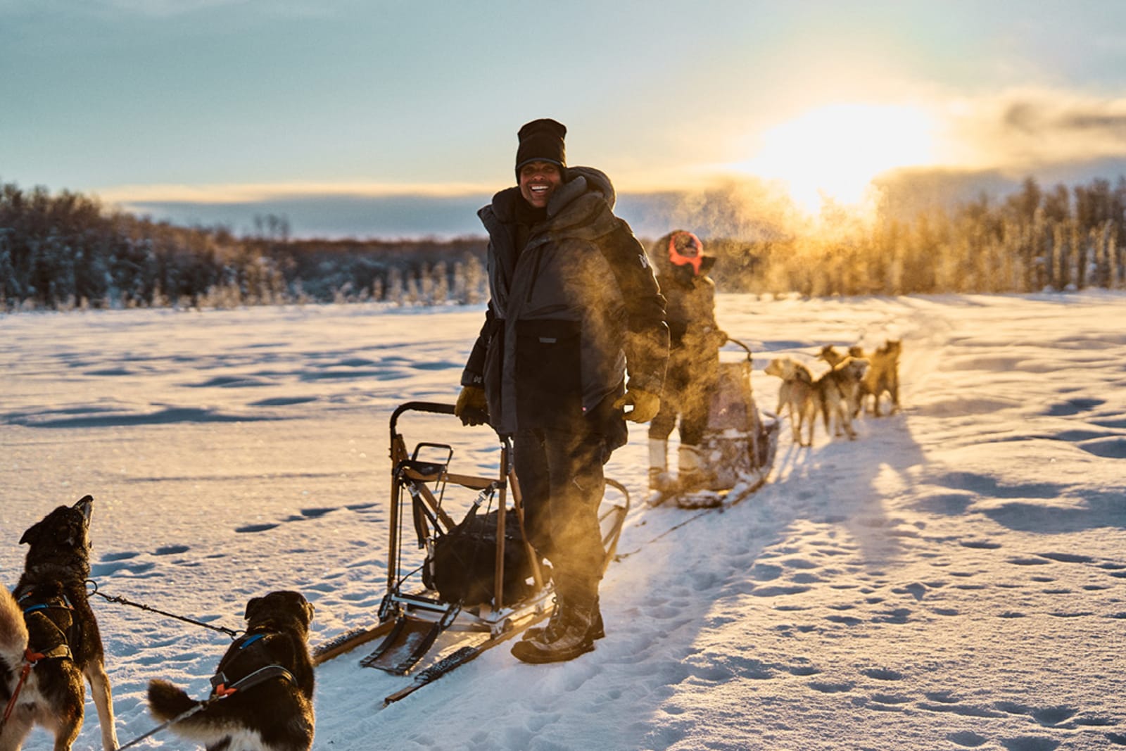 There are several Alaska cruise excursions that allow you to learn about sled dog racing