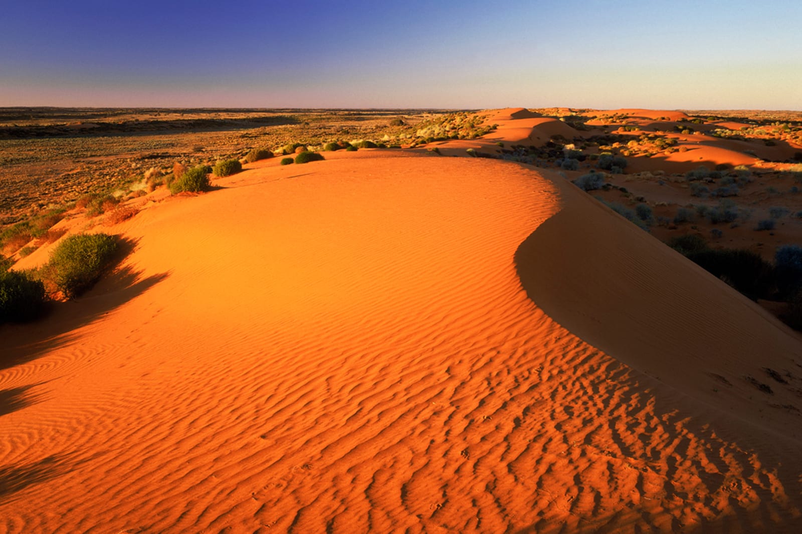 The Simpson Desert is the fourth-largest desert in Australia