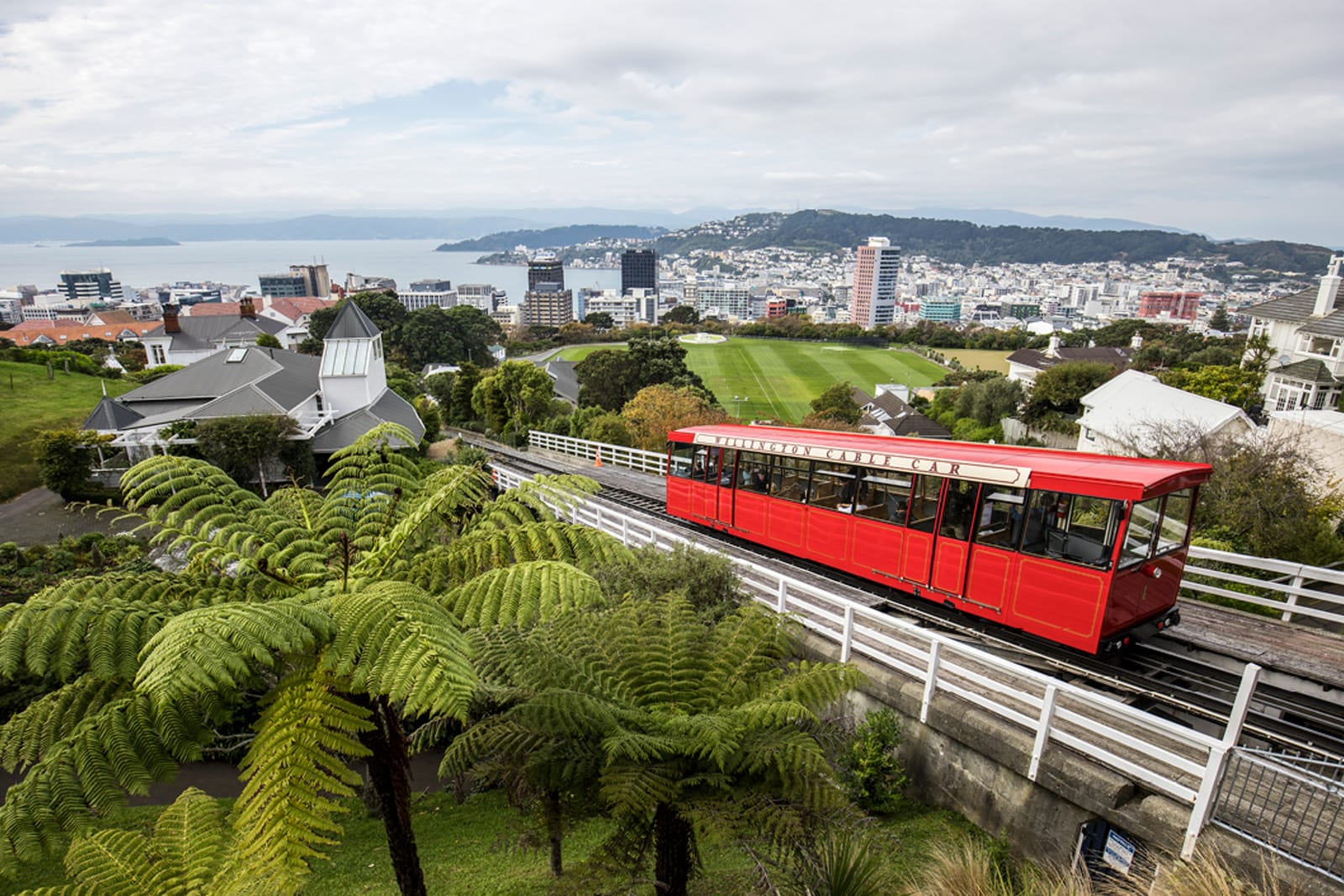 Views from the Wellington Cable Car 