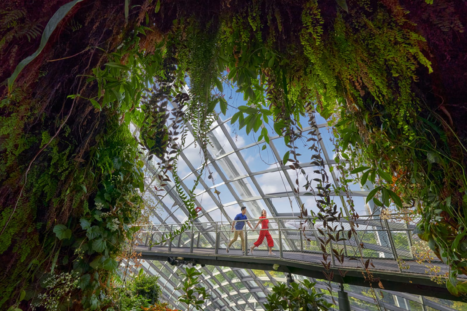 Two people exploring at the Singapore Botanic Gardens