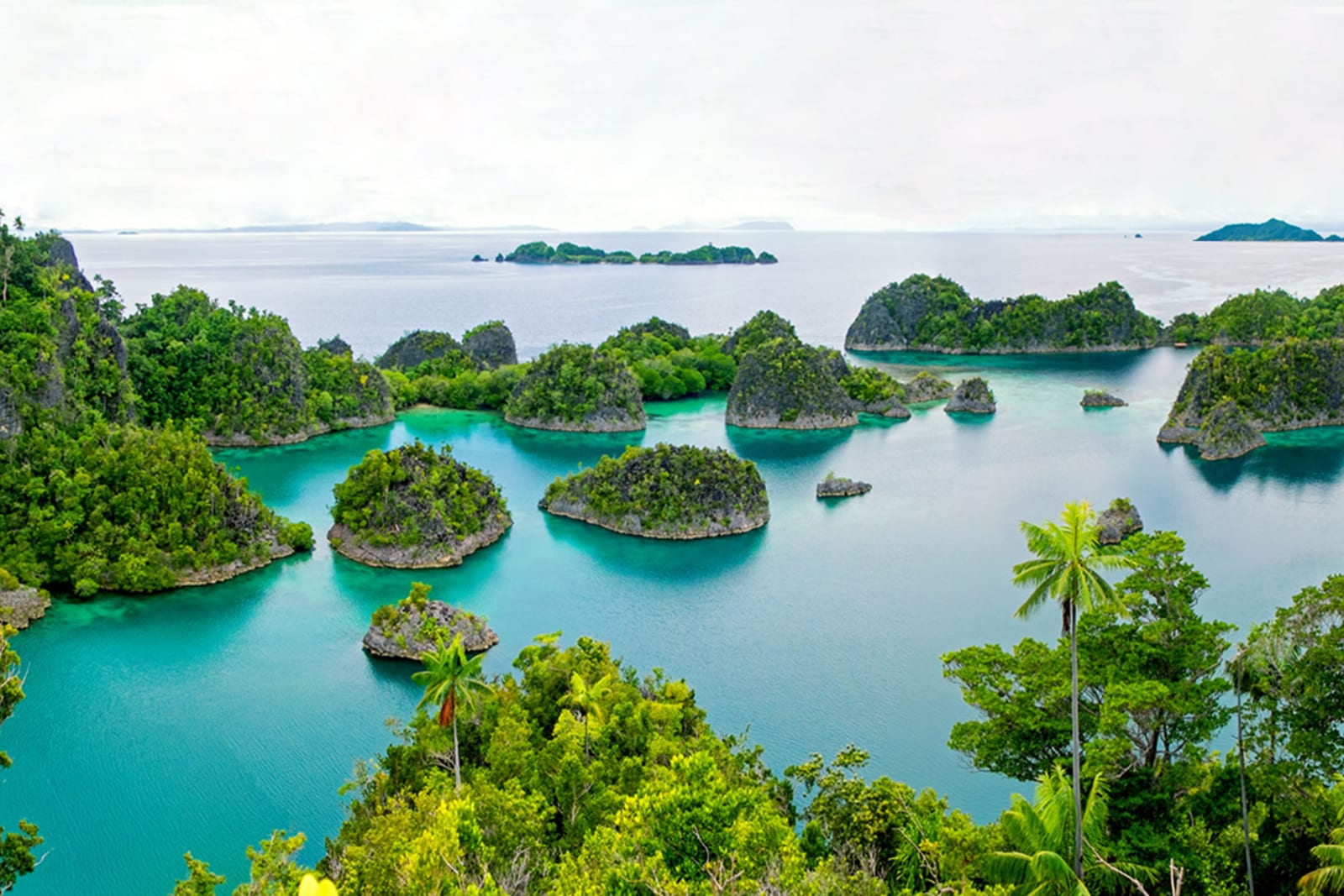 Raja Ampat is one of the world's top ecotourism destinations