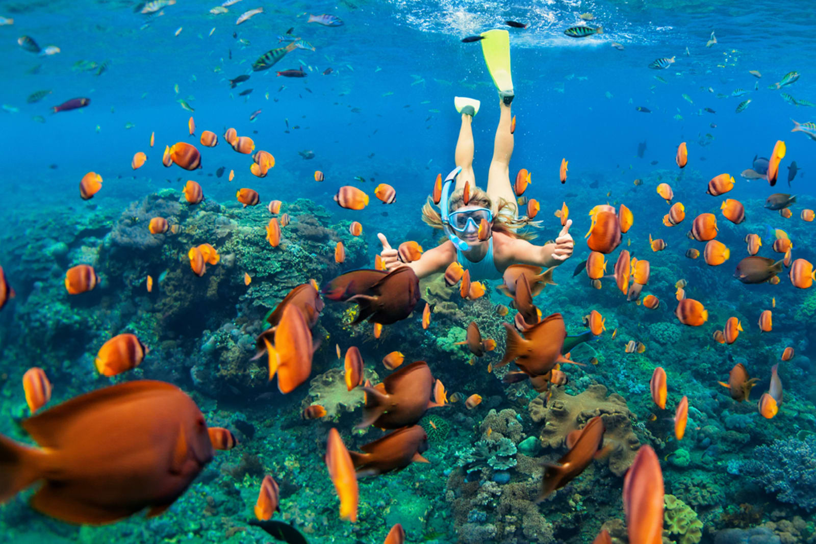 A woman snorkelling in a school of tropical orange fish in Bali