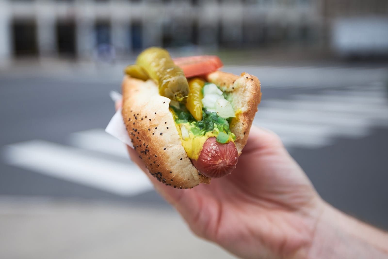 A person holding a Chicago-style hot dog