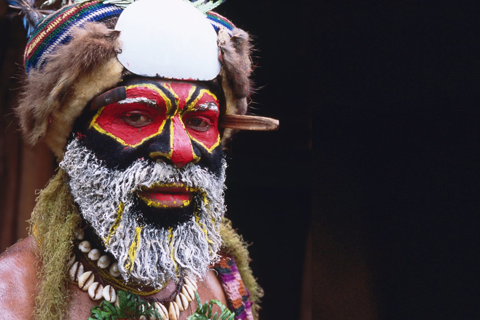 A tribe member at the Mount Hagen Cultural Show in Papua New Guinea