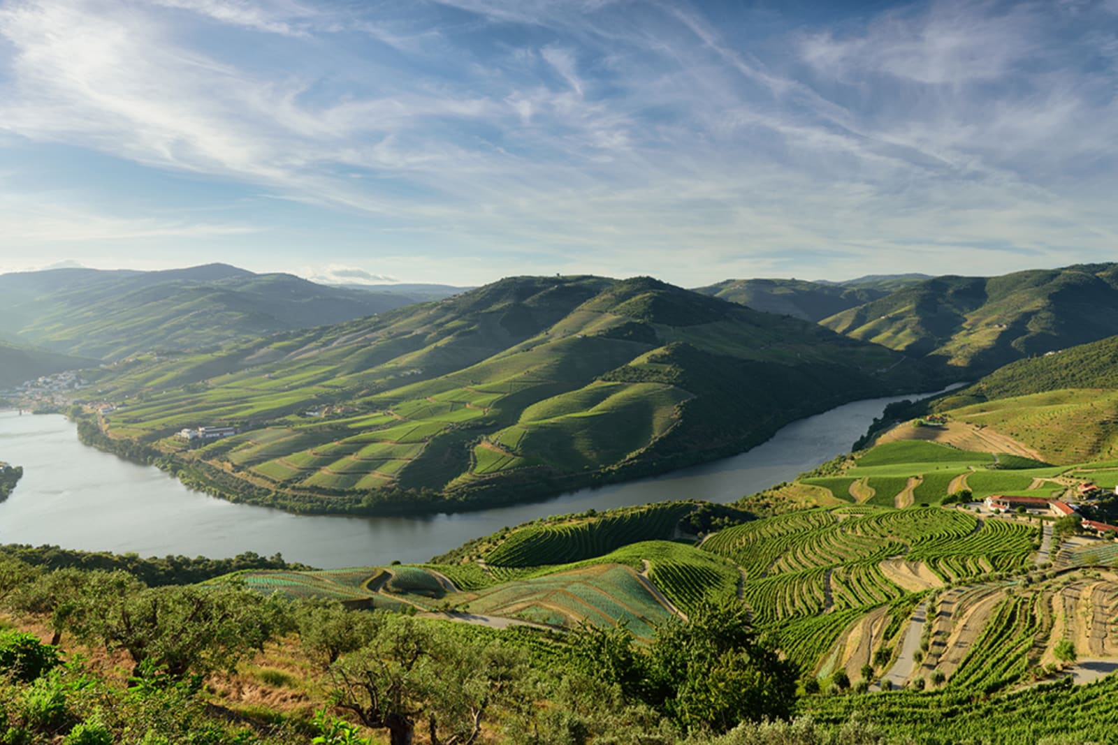 The Douro River Valley is home to some of Portugal's top wineries