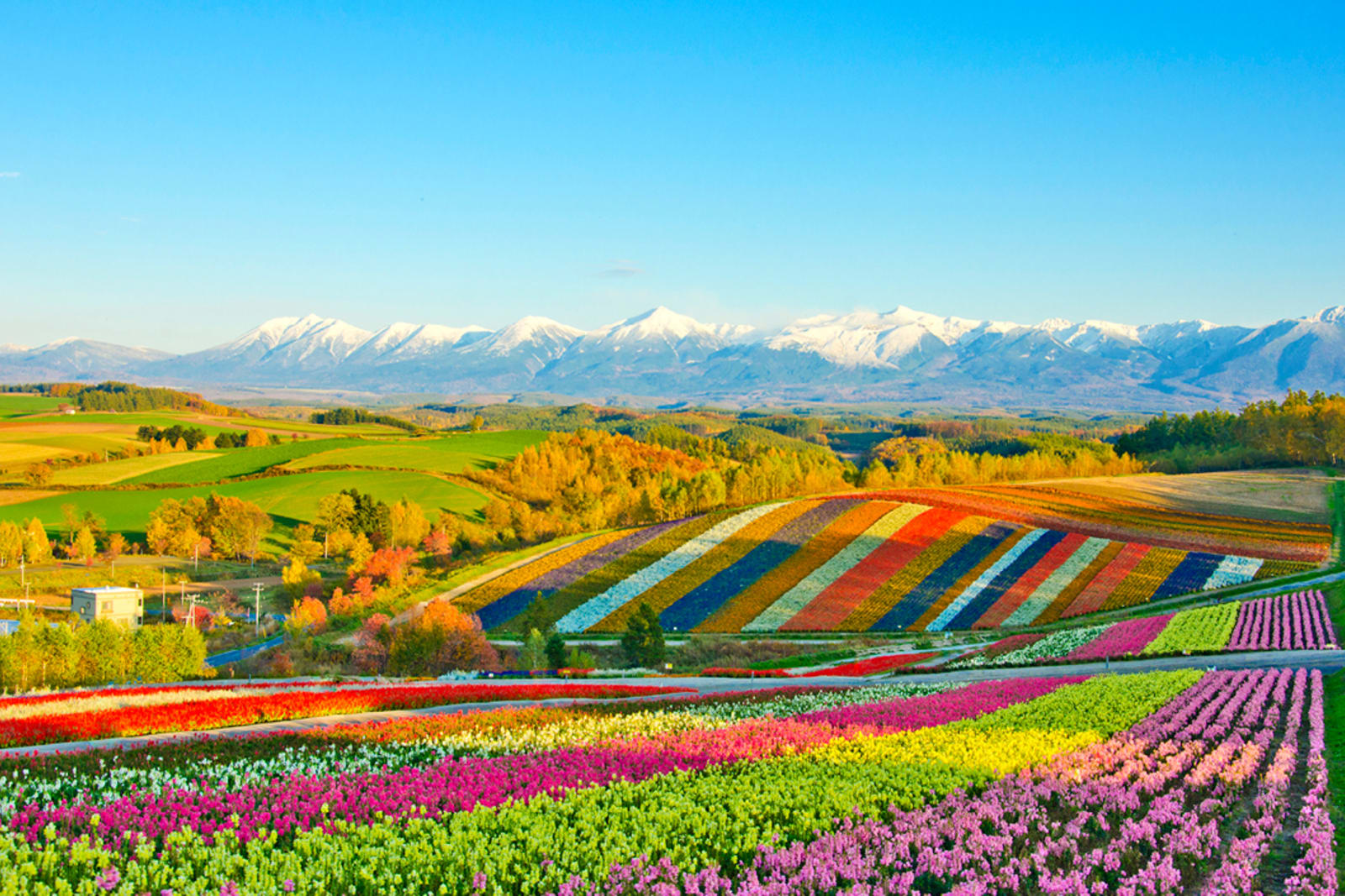 Japan's Patchwork Road was named for its quilt-like farmland