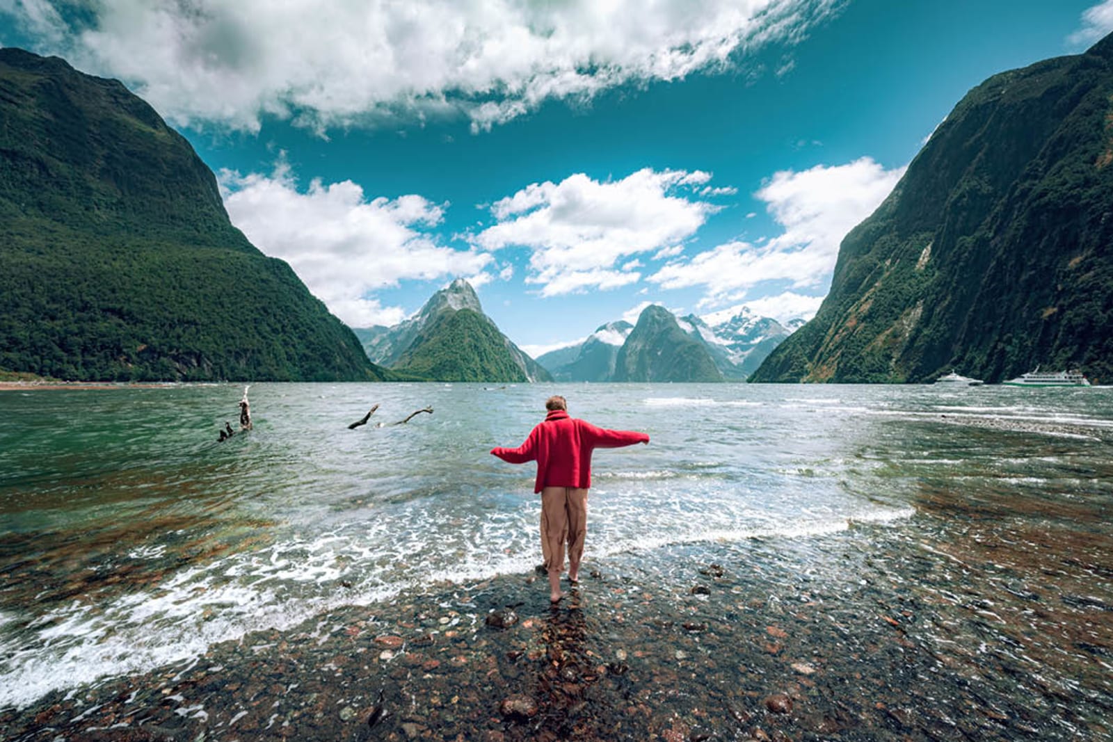 A person standing in Milford Sound, part of Fiordland National Park in New Zealand