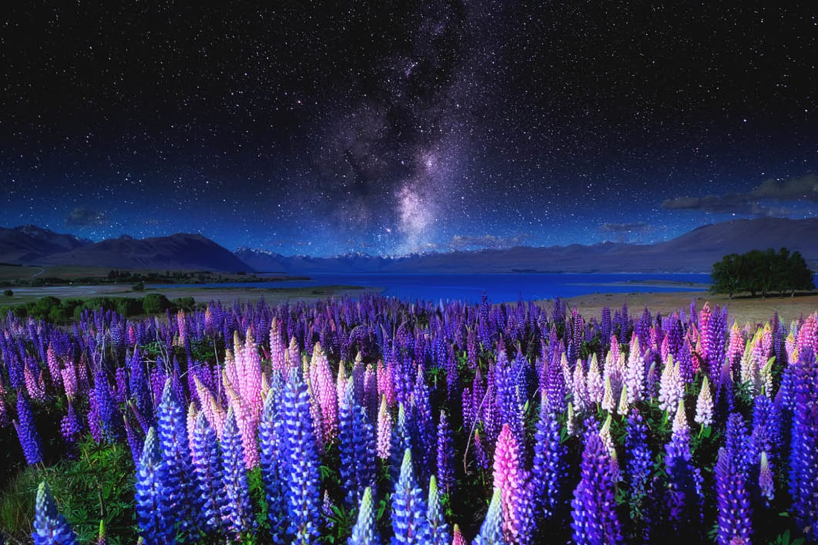 Starry night sky at Lake Tekapo, New Zealand