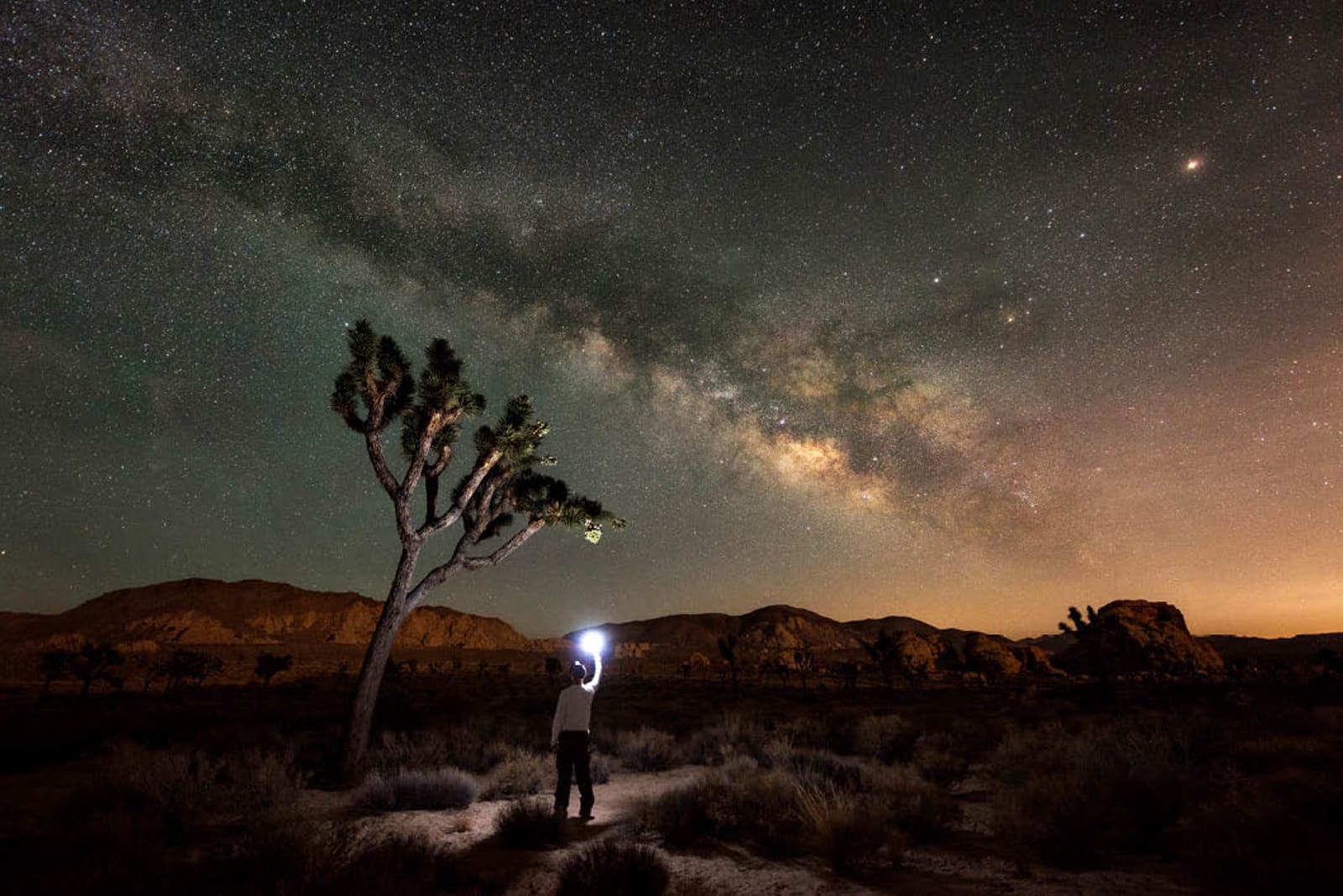 A person stargazing in Joshua Tree National Park, California