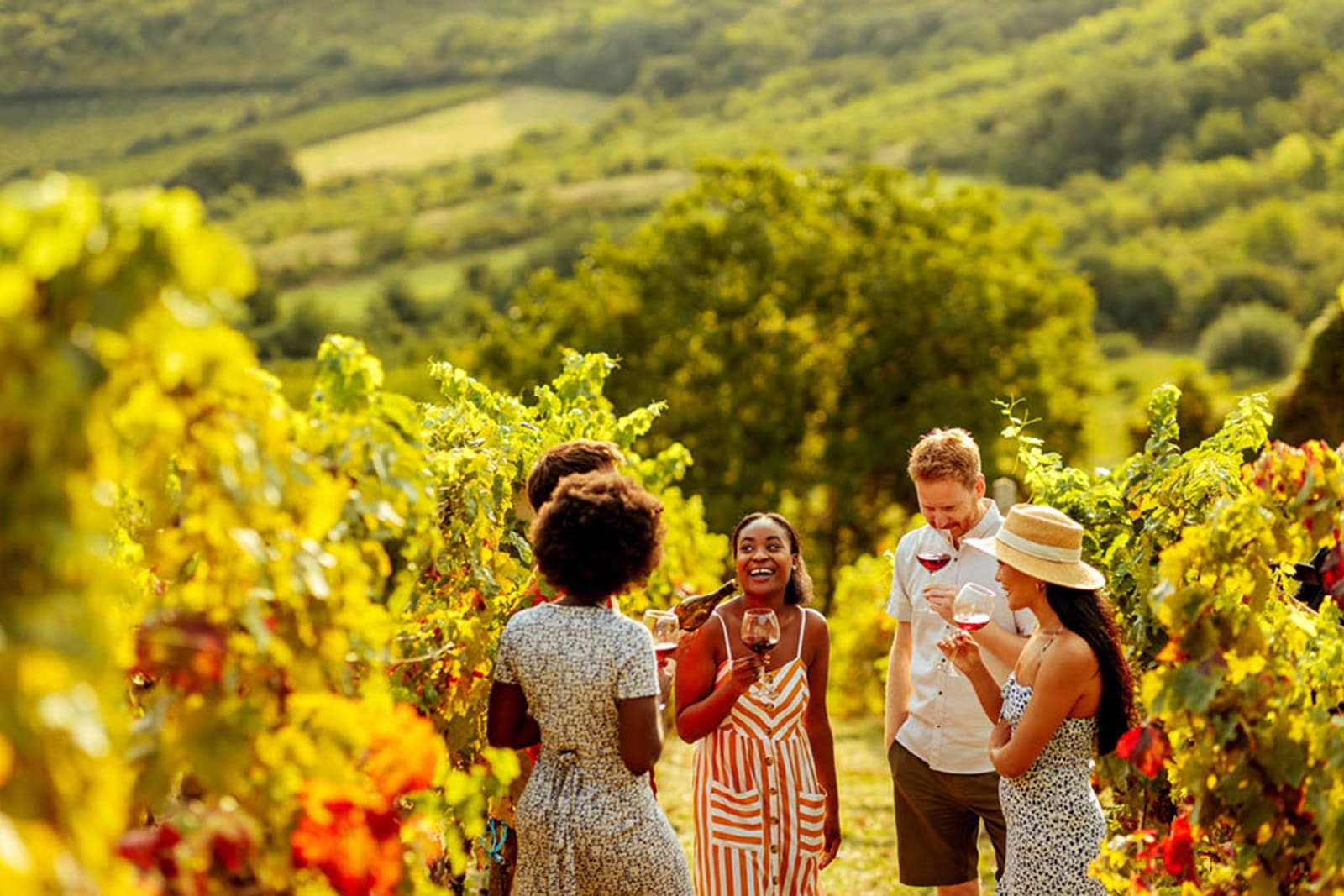 Friends on a group trip drinking wine at a vineyard