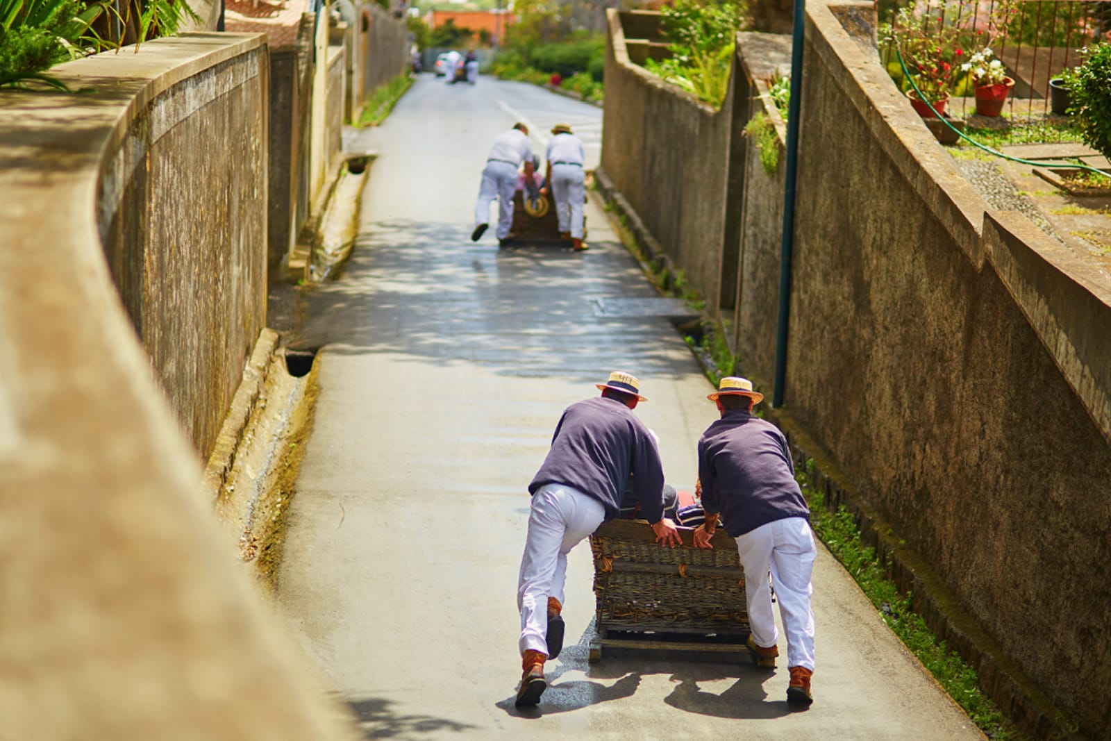 The Monte toboggans in Madeira, Portugal are one of the world's most unusual modes of transporation