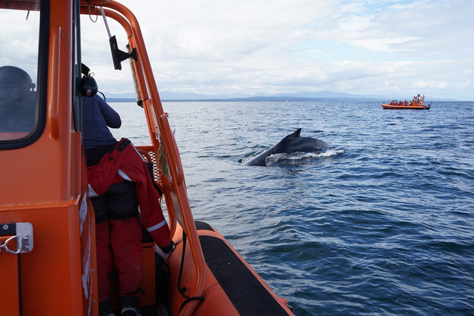 Whale watching off the coast of Vancouver Island