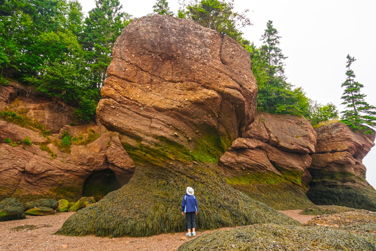 Hopewell Rocks in New Brunswick