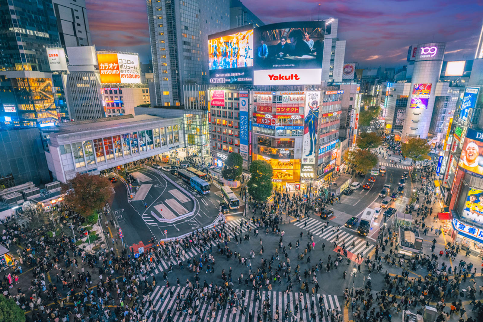 Shibuya Crossing in Tokyo