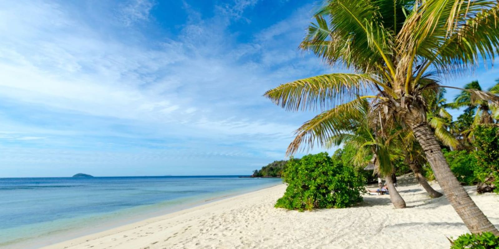 A palm tree on a white sand beach with clear blue water in Fiji