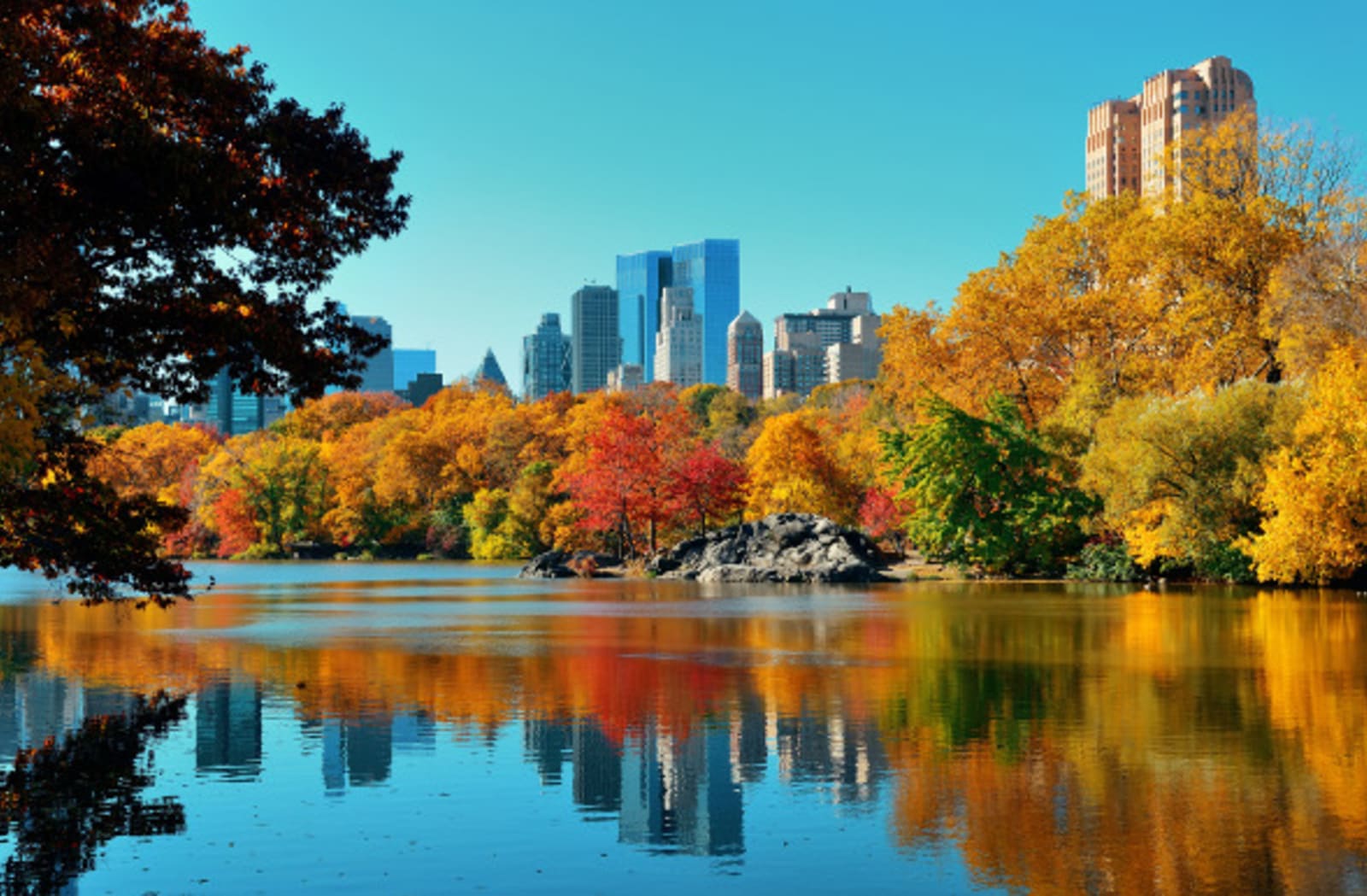 a lake in central park, reflecting a clear image of autumn trees and the city skyline