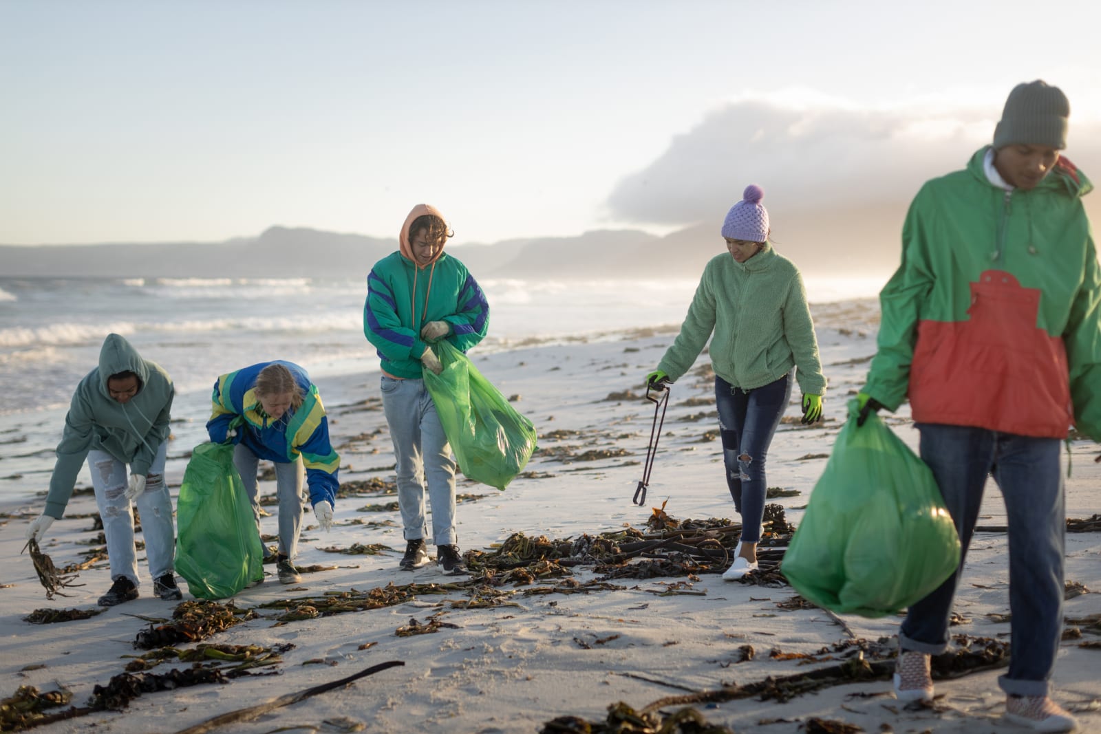 group of people picking up rubbish on beach and placing it into plastic green bags