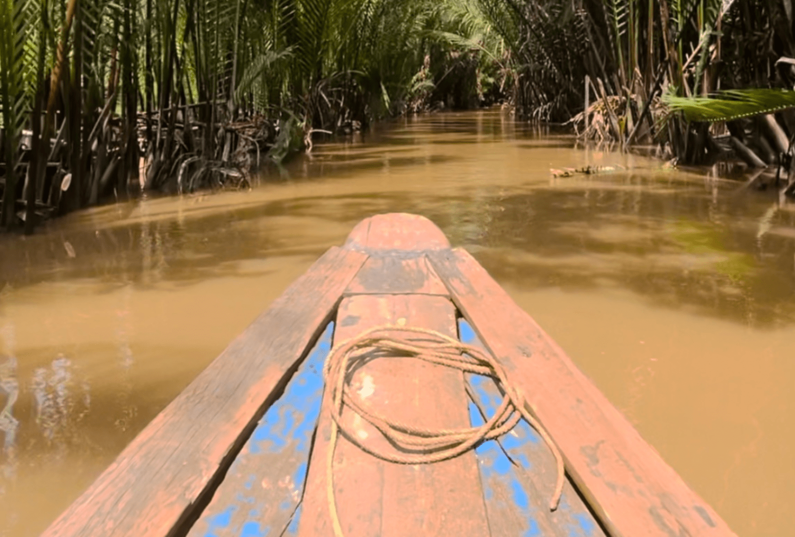 A view over the bow of a small wooden boat as it passes palm trees growing out of the waters of the Mekong River, Vietnam