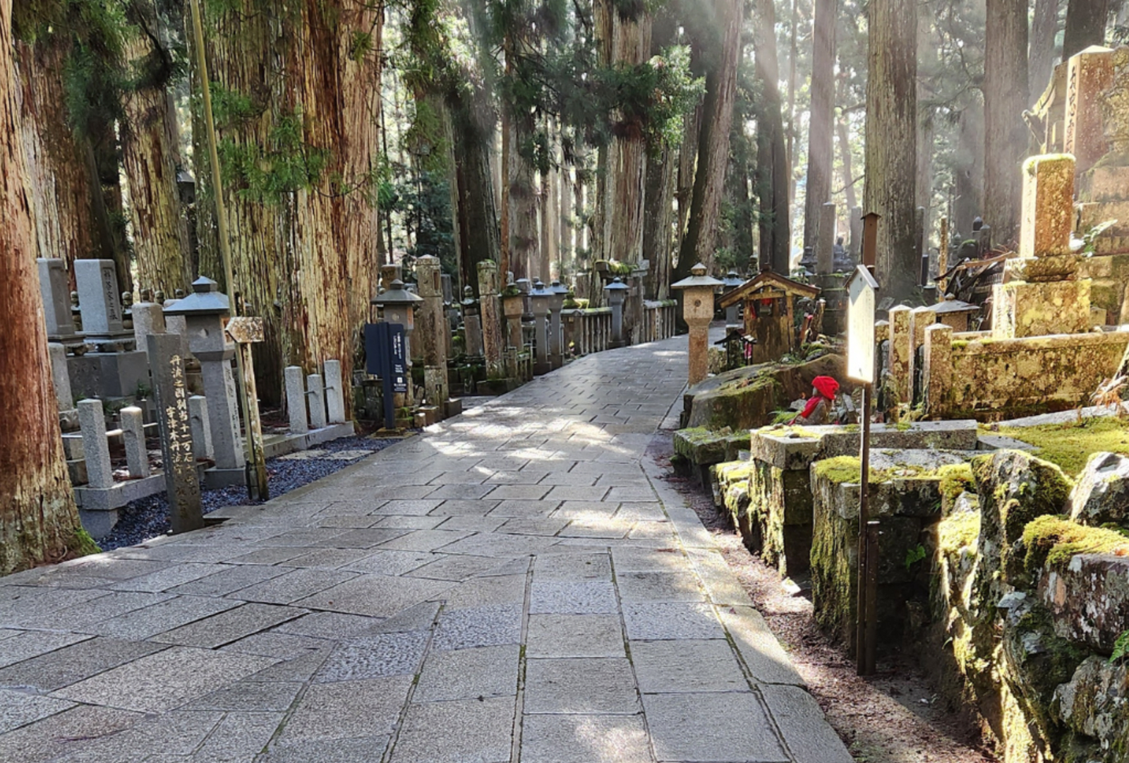 A paved pathway winds through a wooded cemetery