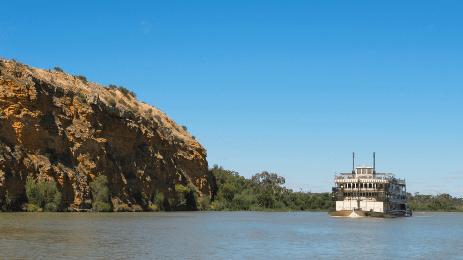 Boat cruises down the Murray River in south australia 