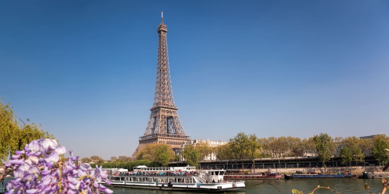 The Eiffel tower in Paris with flowers in the foreground