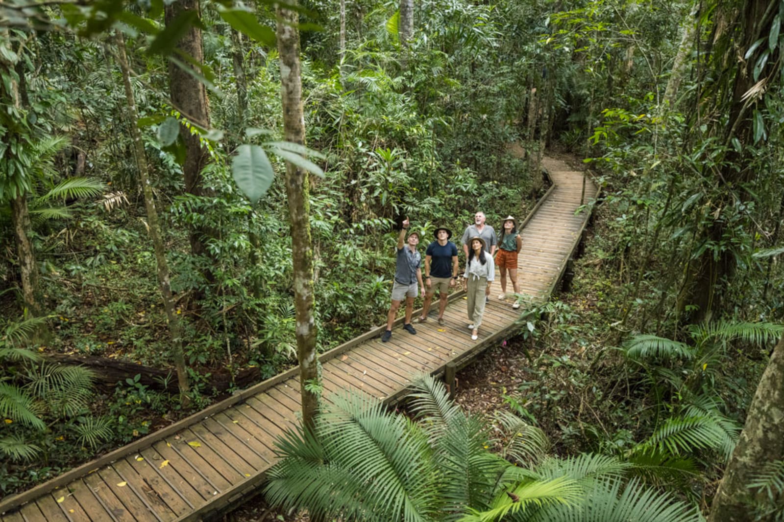 Queensland-Daintree-Rainforest.jpg