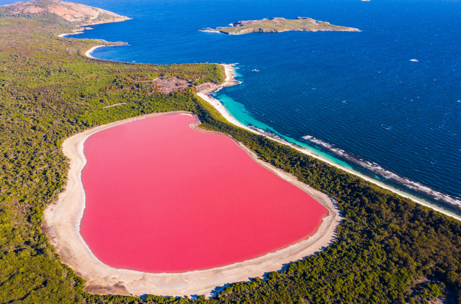Lake Hillier, a pink lake alongside the blue ocean in Western Australia.