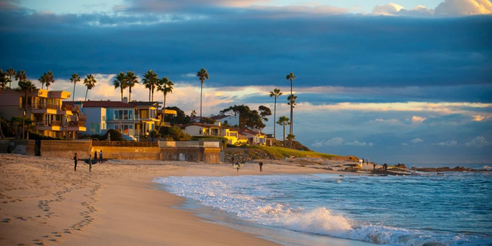 A beach in Sand Diego lined with palm trees and coastal houses