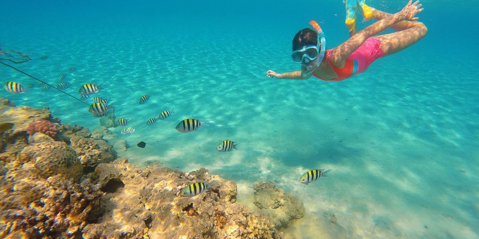 A young girl watching the fish as she snorkels on the Great Barrier Reef