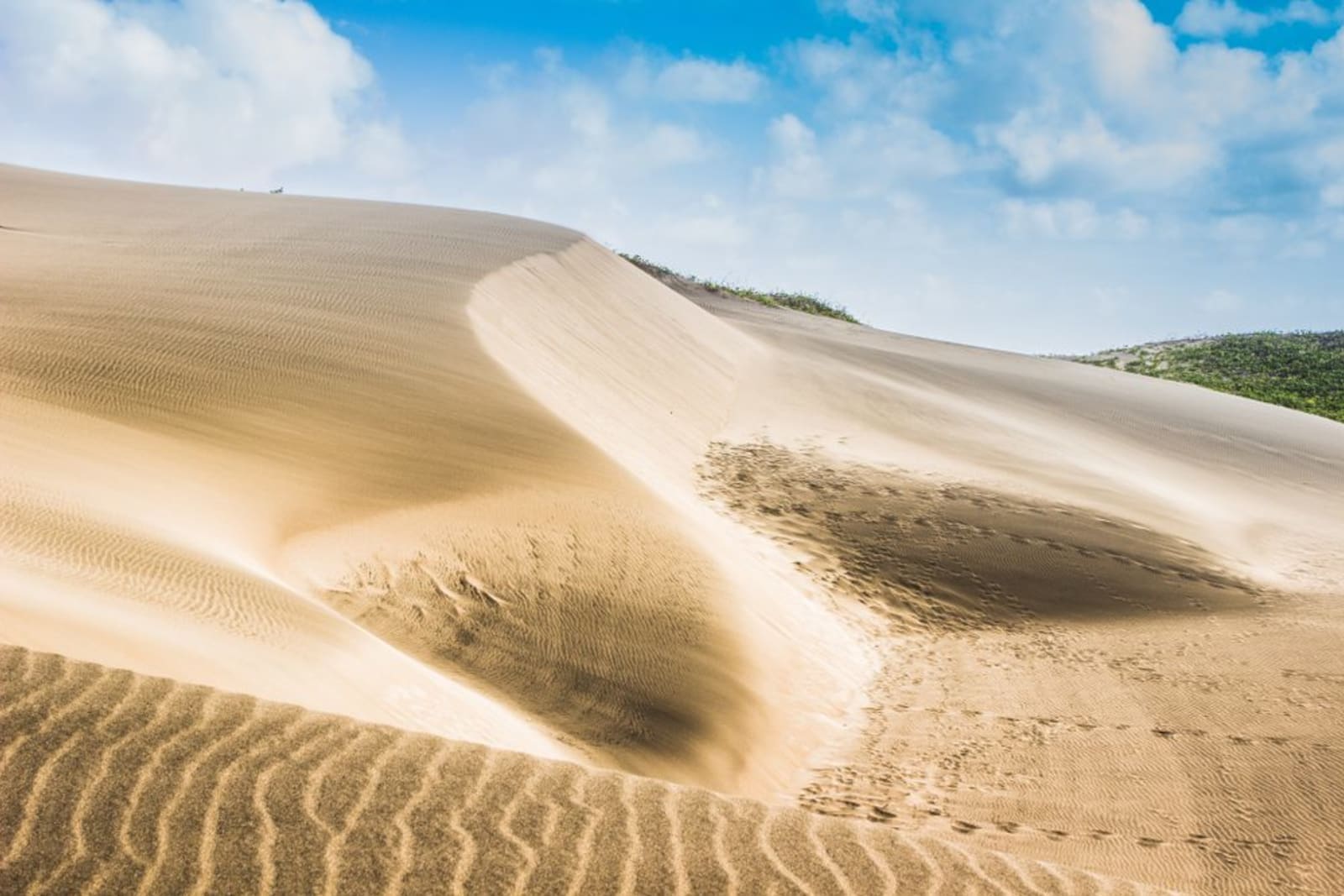 Sigatoka Sand Dunes 