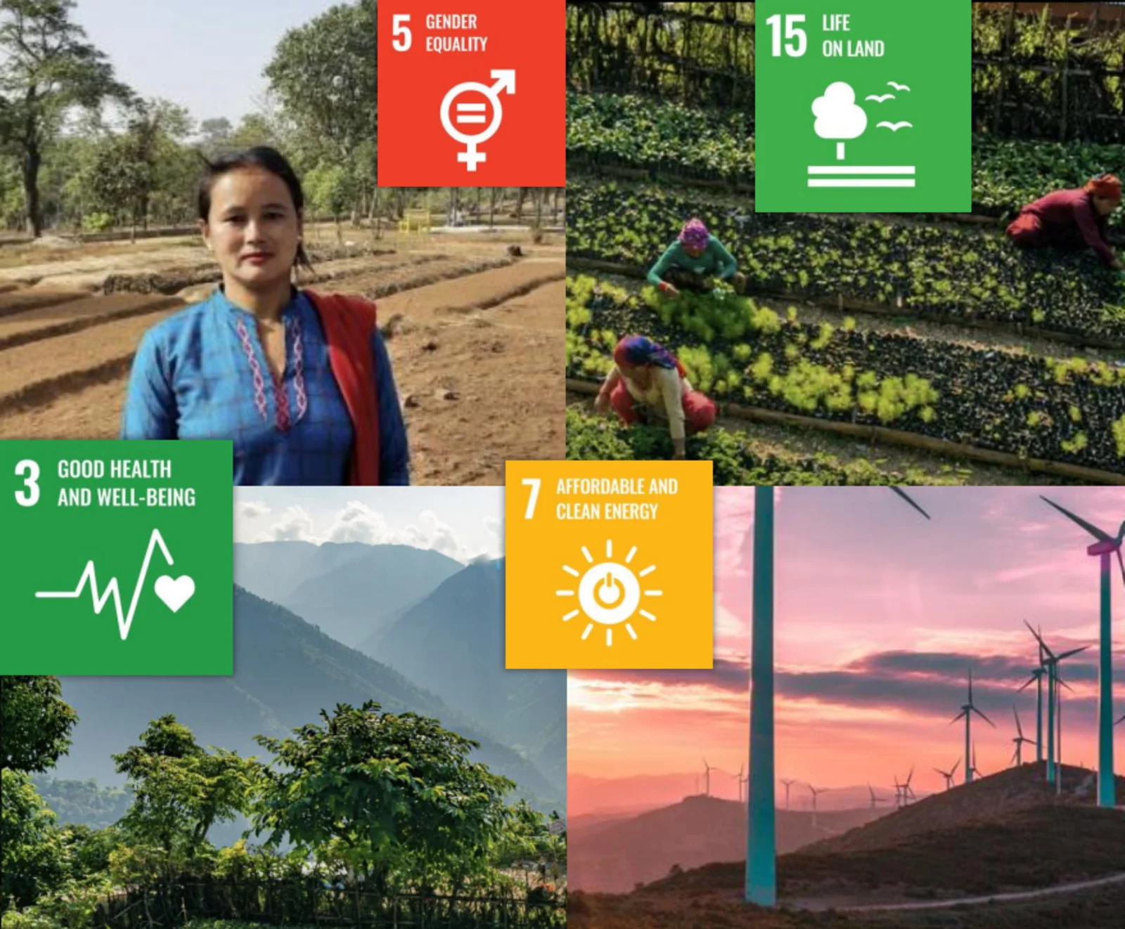 4 themes in 1 picture shows 5 gender equality, 15 life on land, good health and well-being and affordable and clean energy