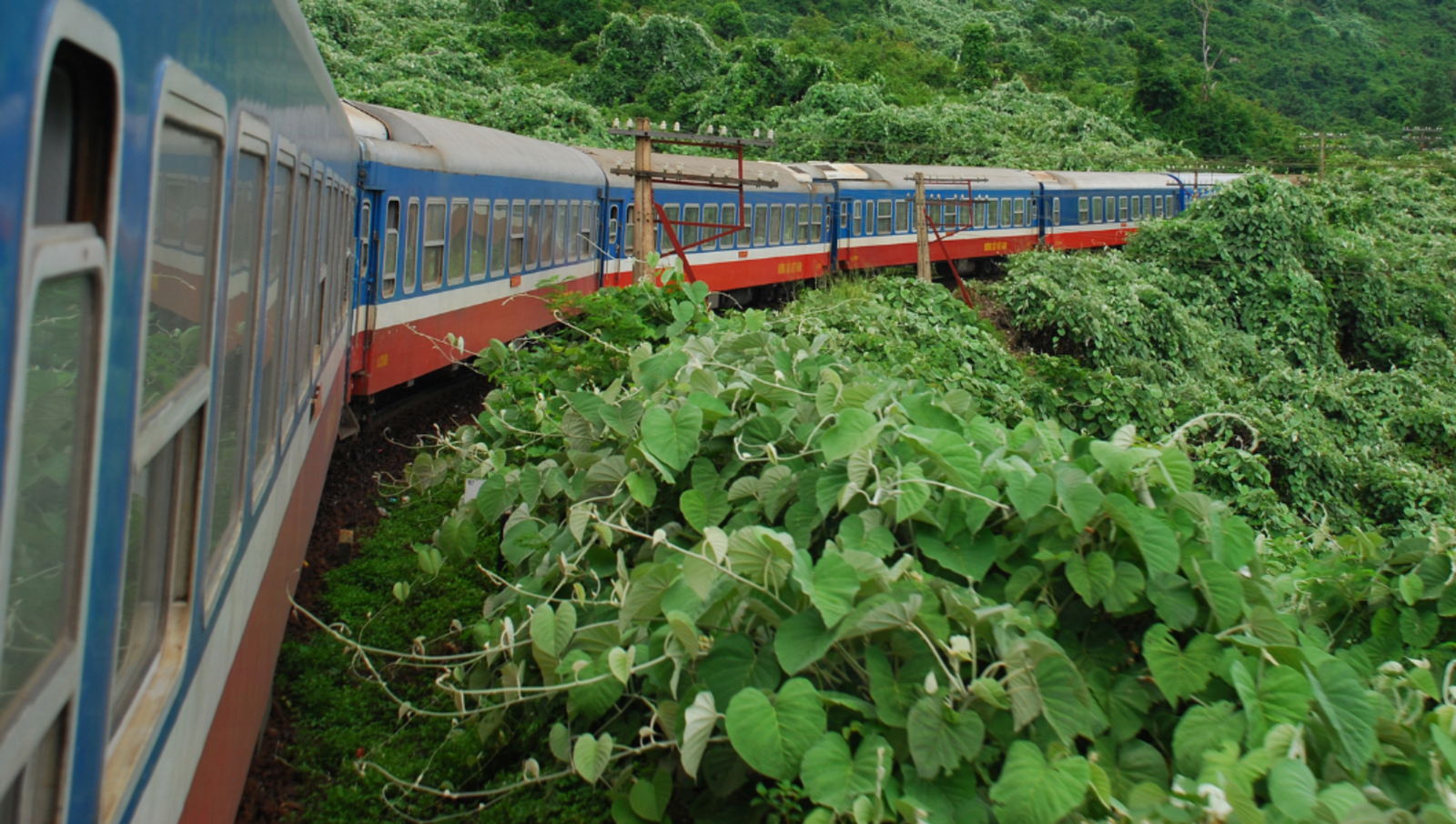 train in jungle in vietnam