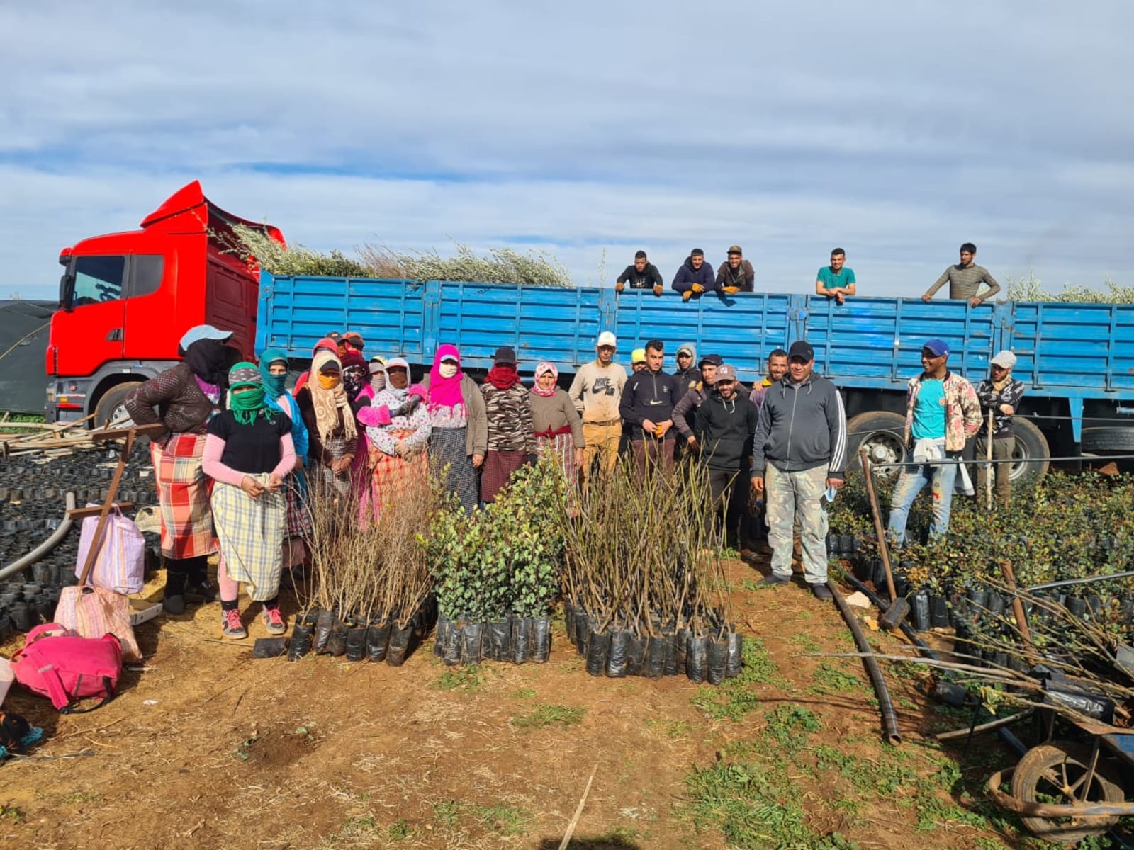 Farmers standing by saplings in front of a blue and red truck