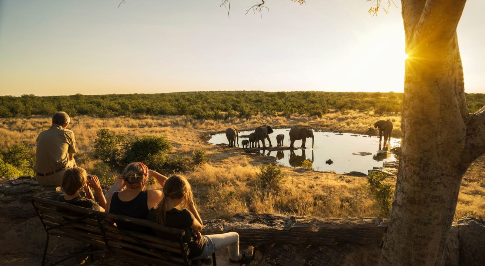 people sitting on a bench as they watch animals in africa