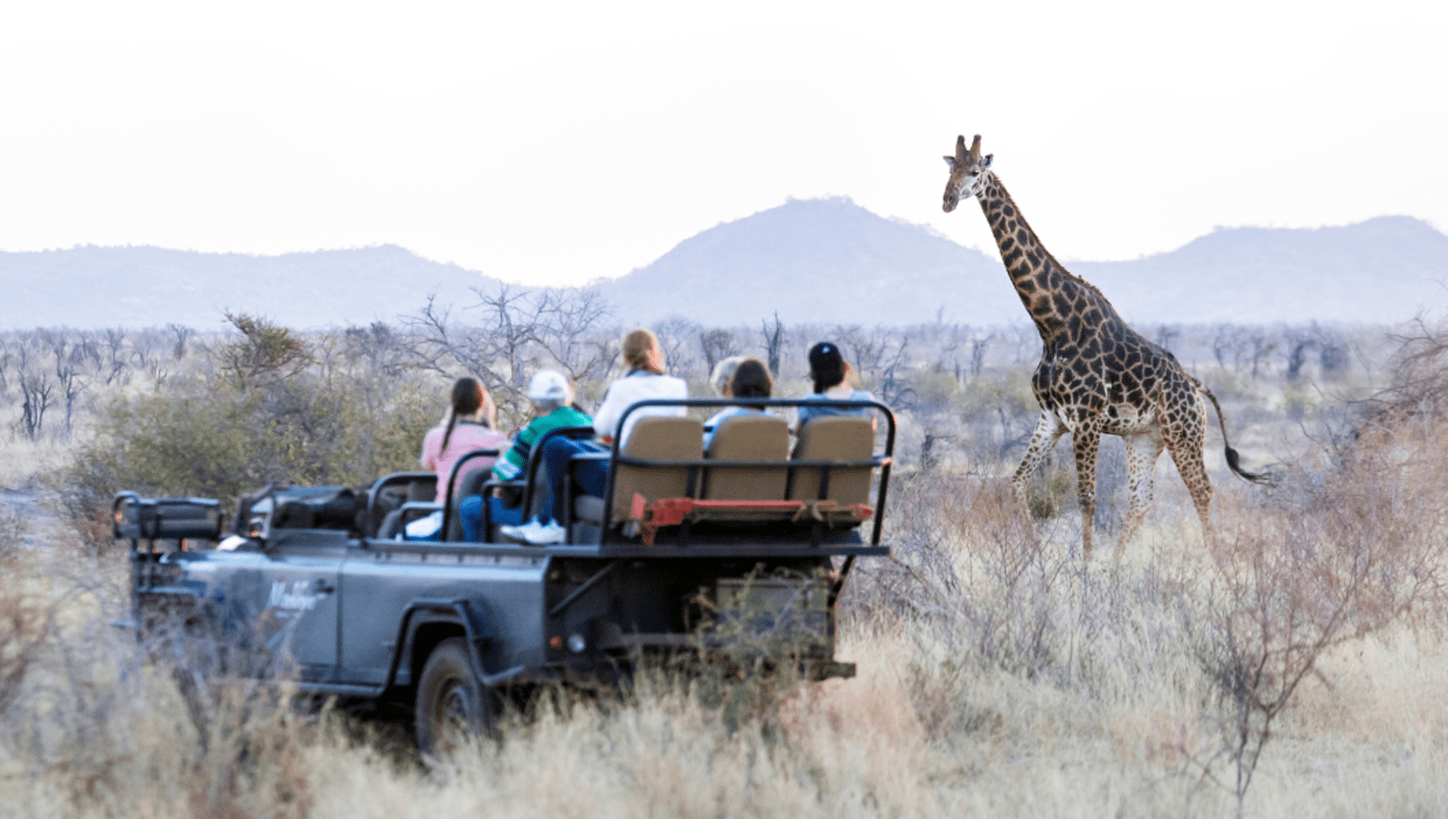 People sitting in safari car looking at giraffe in the wild