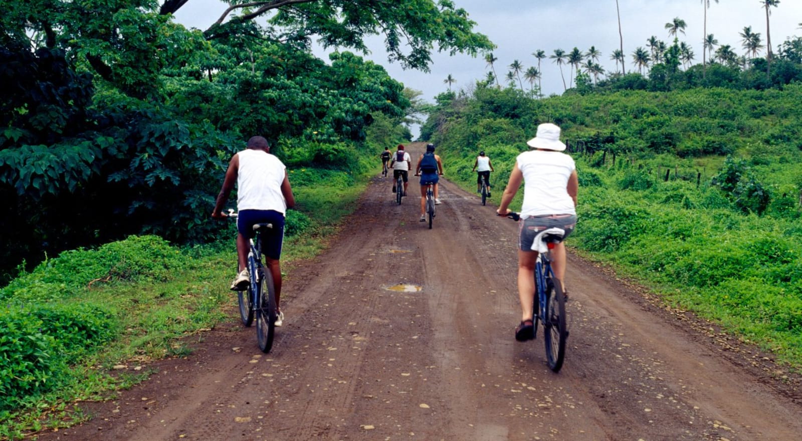 people riding bikes 