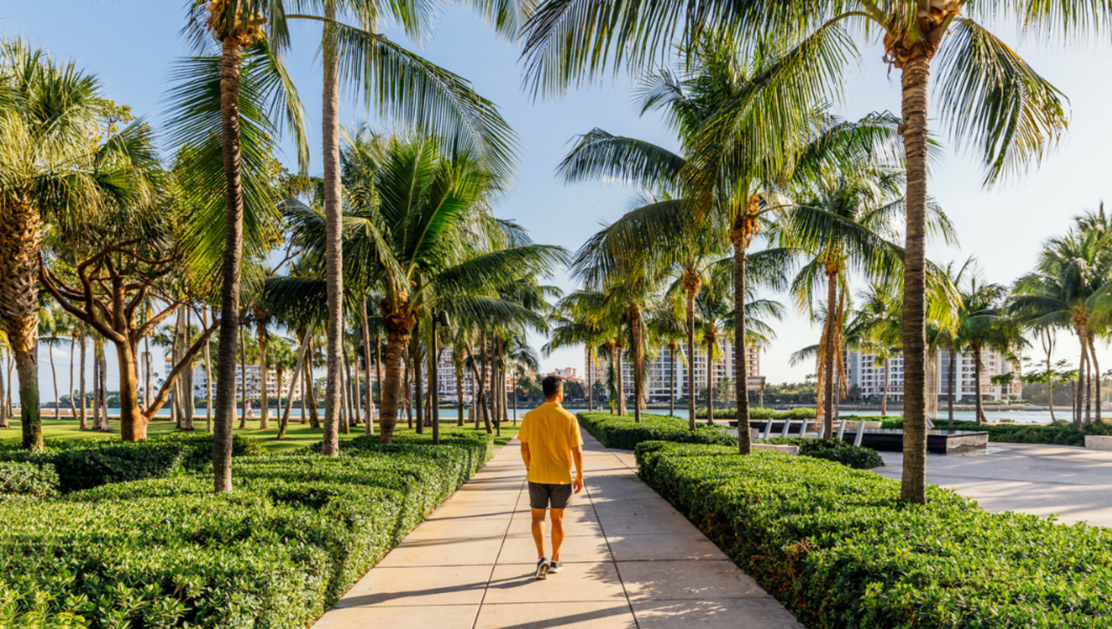 man walking down bath leading towards water lined with palm trees
