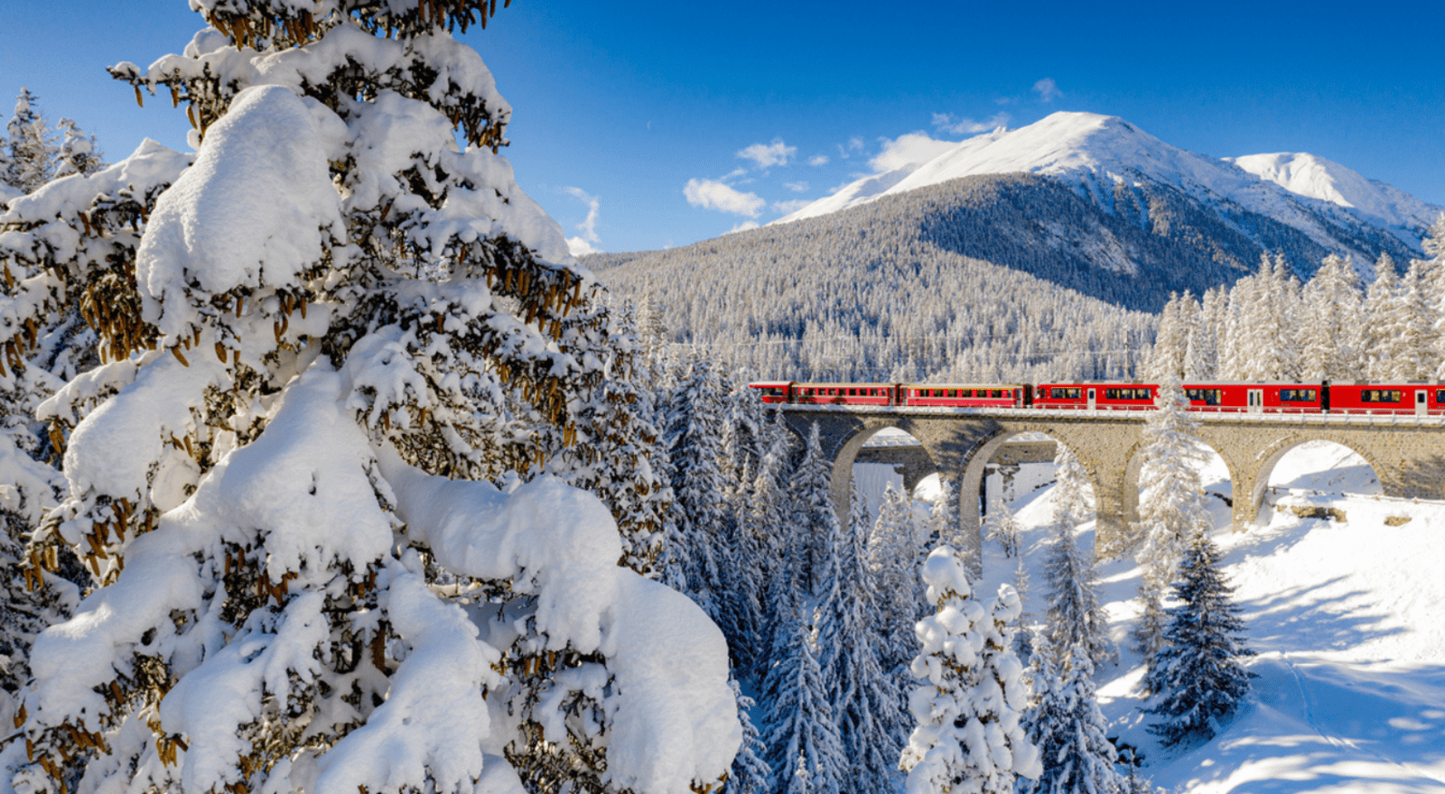 red train travelling through snowy mountains and trees