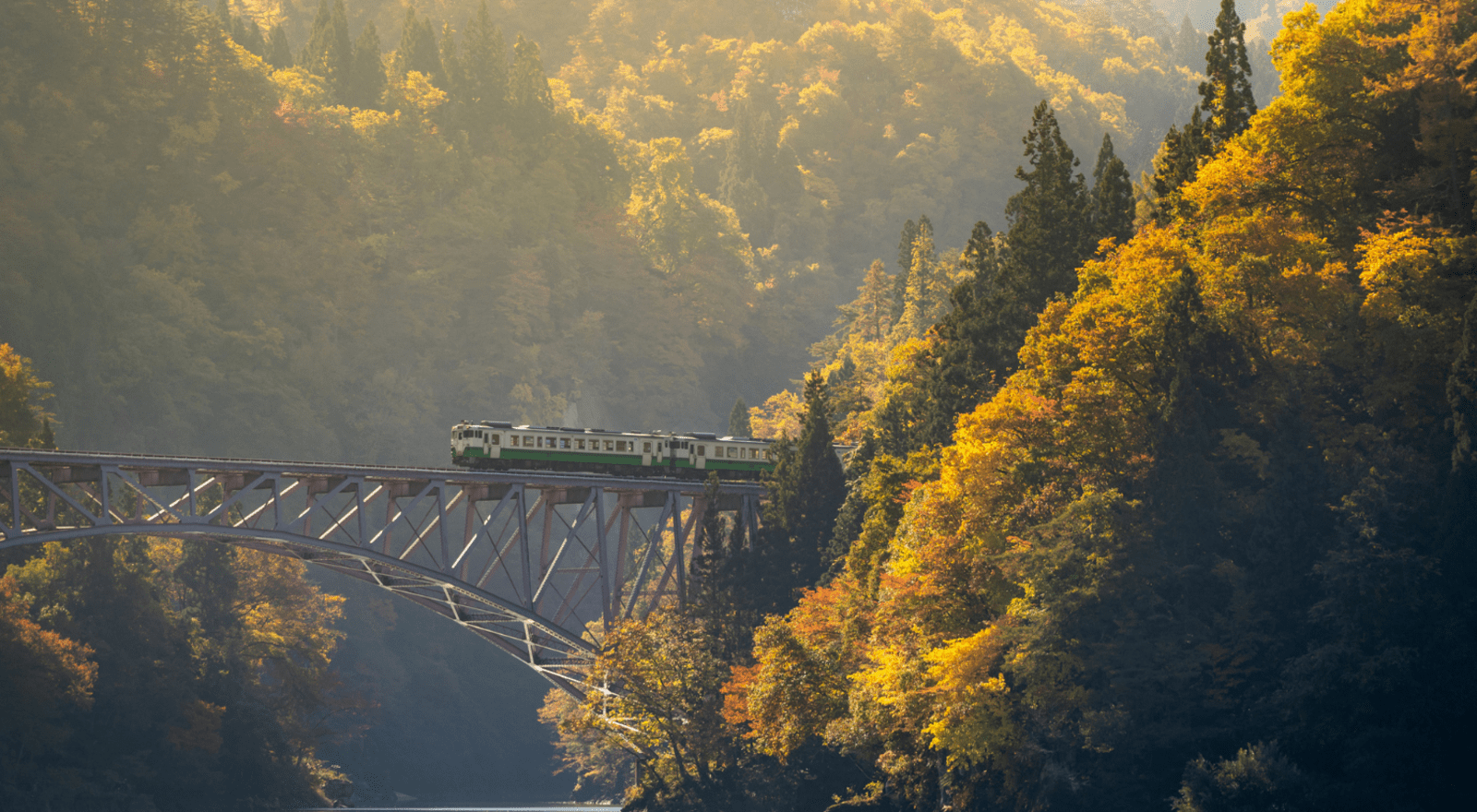 train travelling over bridge in japan