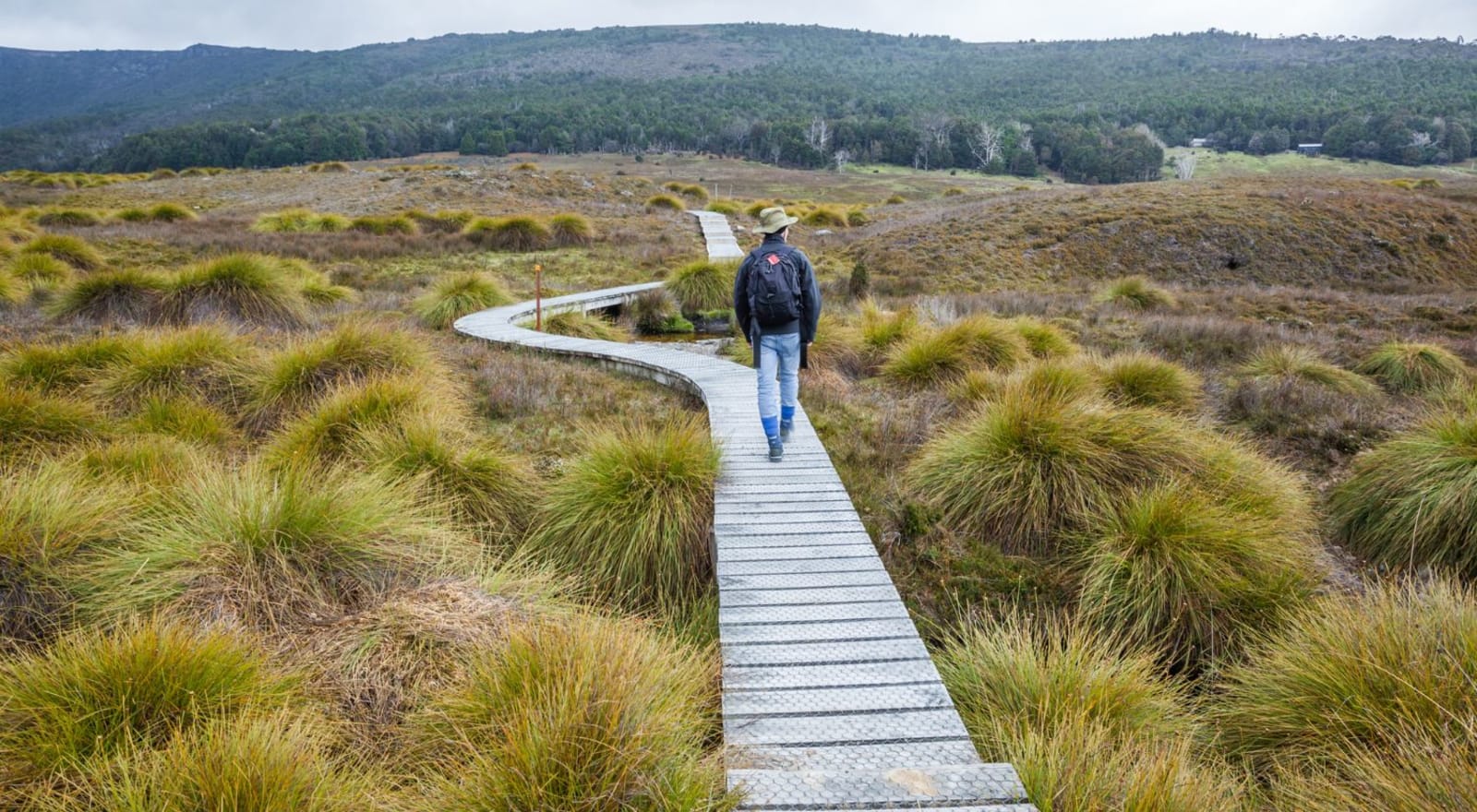 man hiking path in tasmania