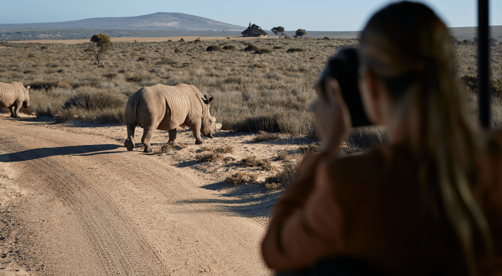 lady on safari taking photo of rhino