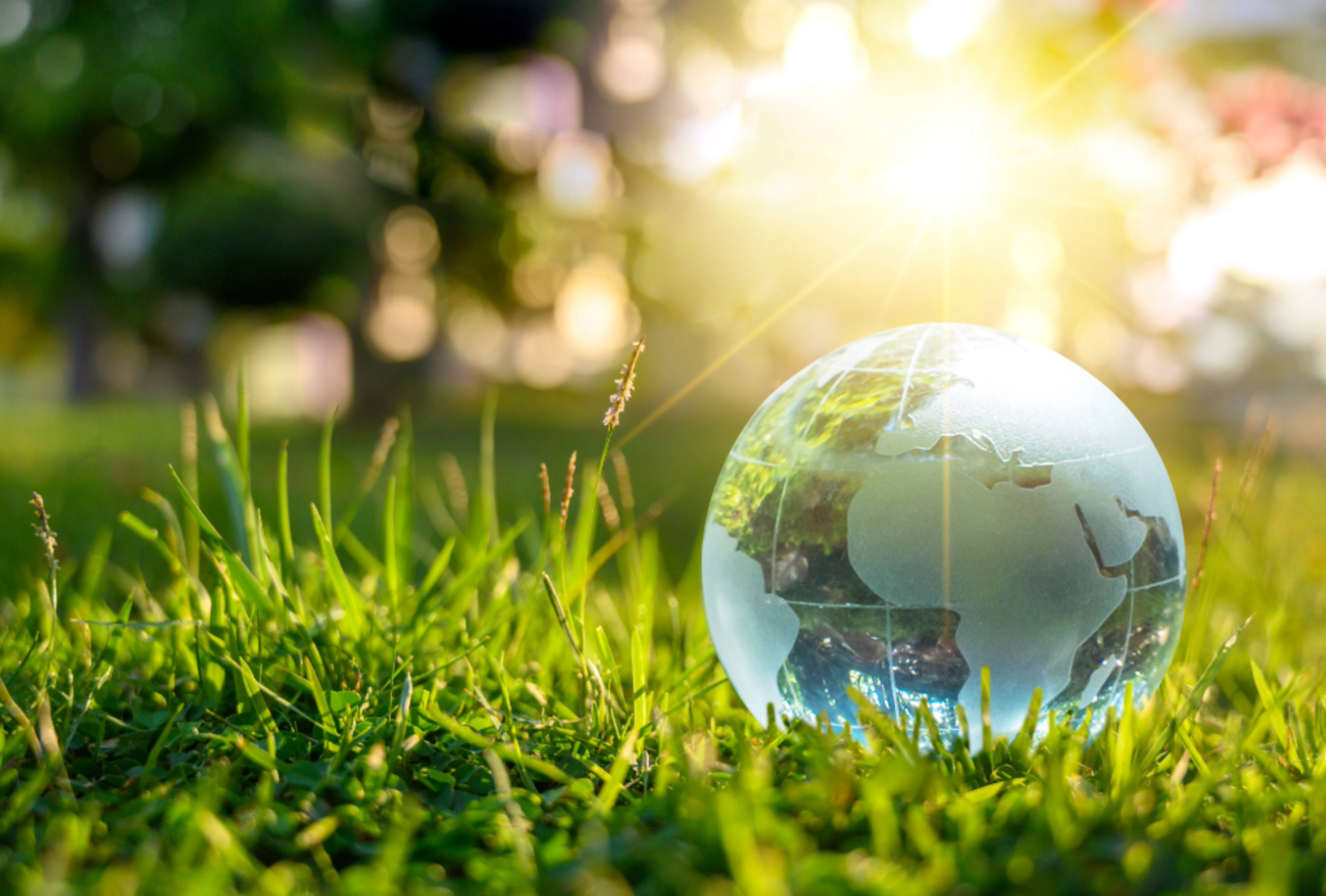A glass globe in the grass