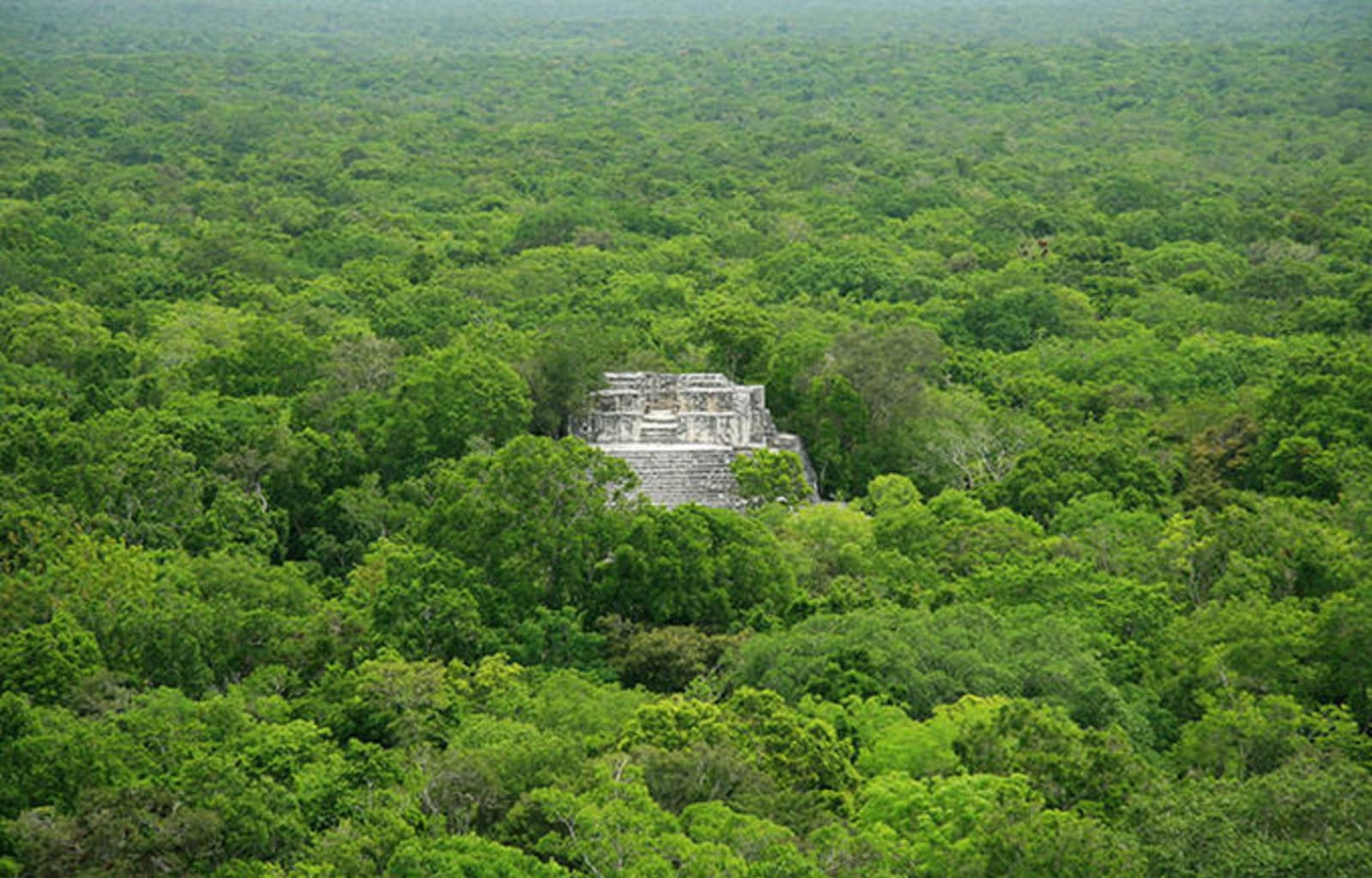 Calakmul - a remote ruin surrounded by lush green jungle, with no discernible entrance