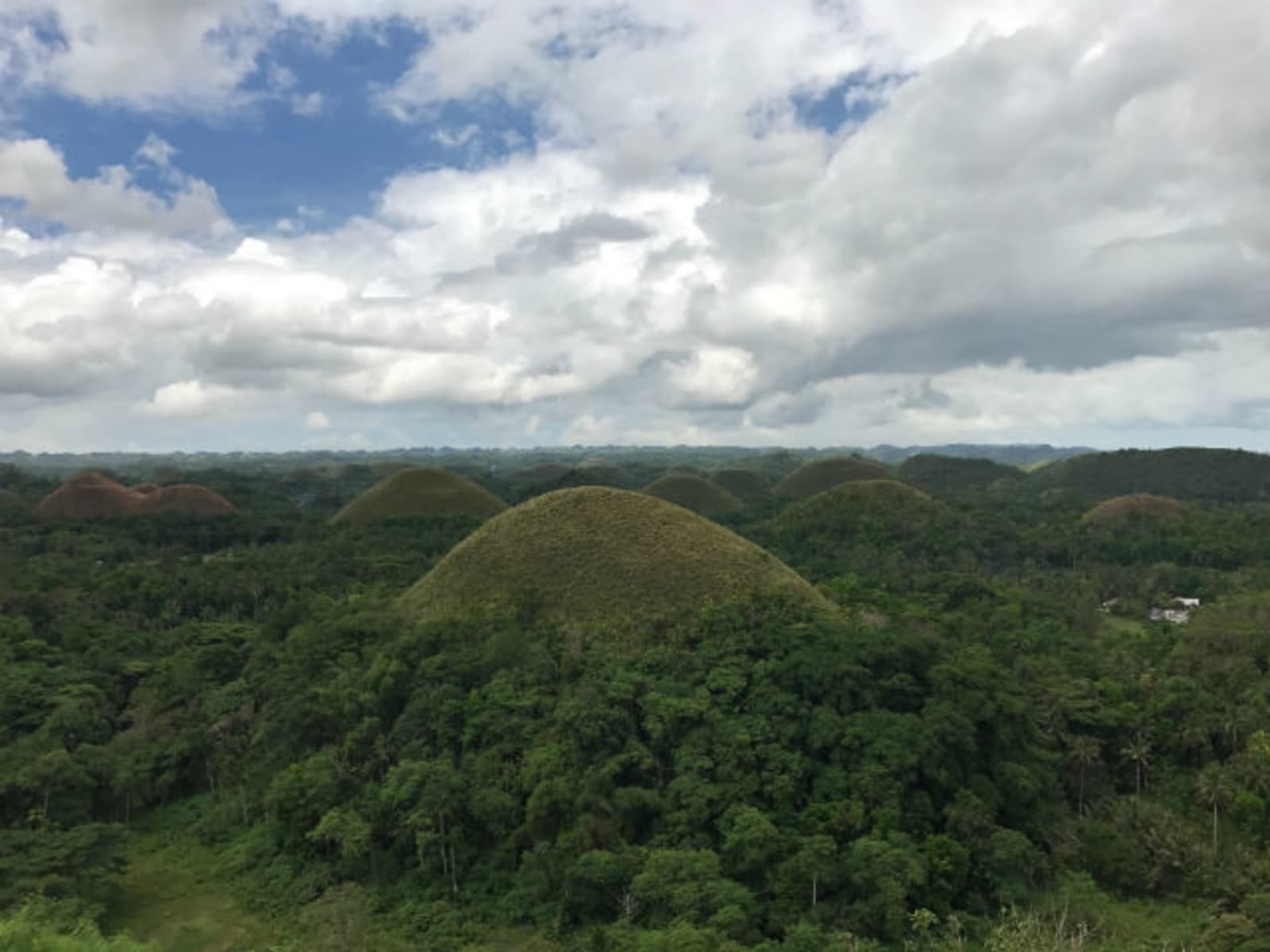 chocolate-hills-bohol.jpg