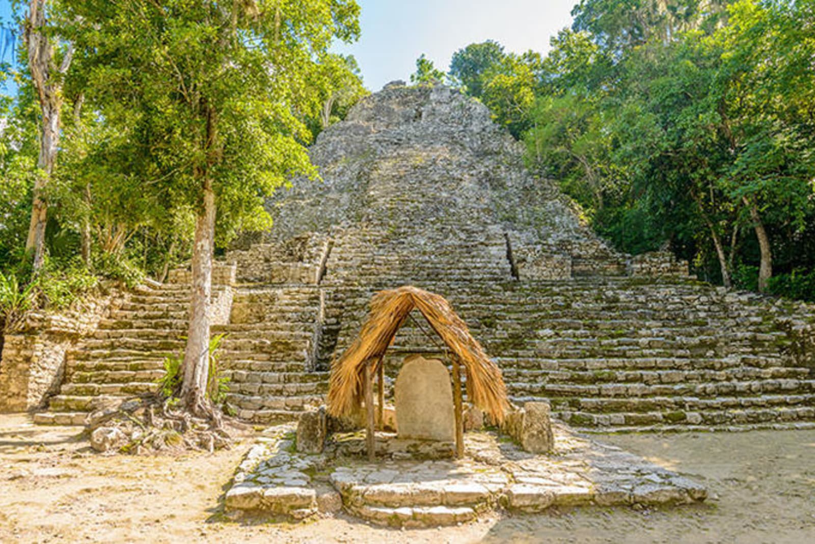 Coba - an ancient Mayan structure, built between towering trees