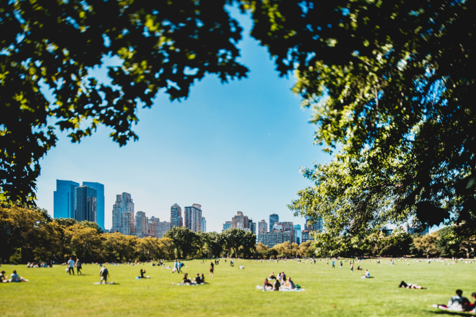 People relaxing on the grounds of Central Park in New York