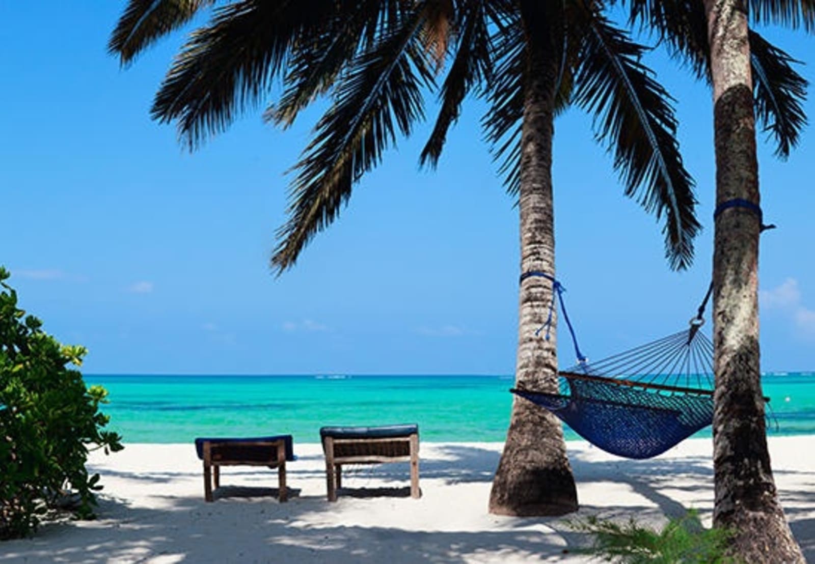 3a-Perfect-tropical-beach-of-Zanzibar-island-with-palm-trees-sunbeds-and-hammock.jpg