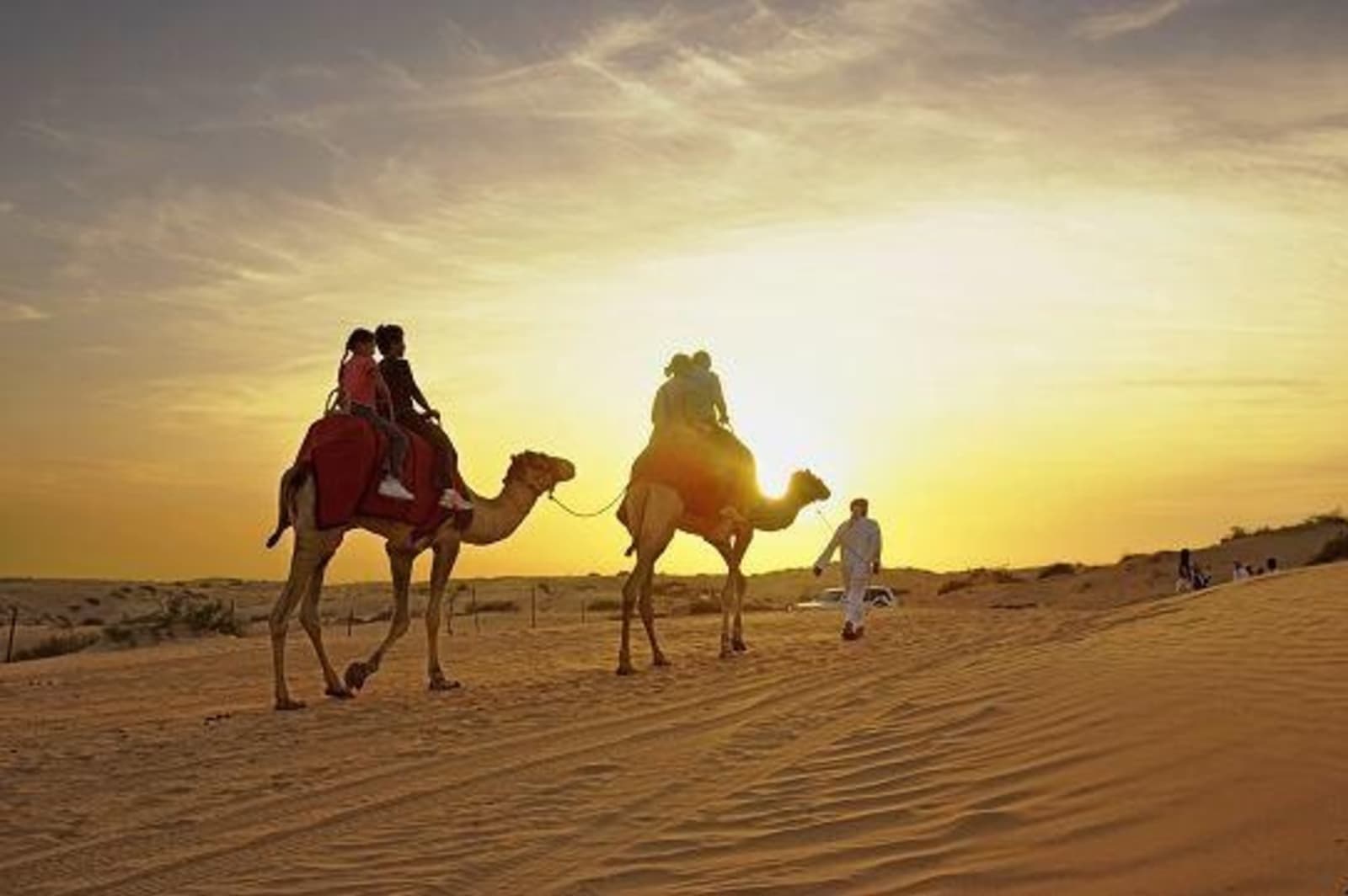 Camel-rides-in-Dubai.jpeg