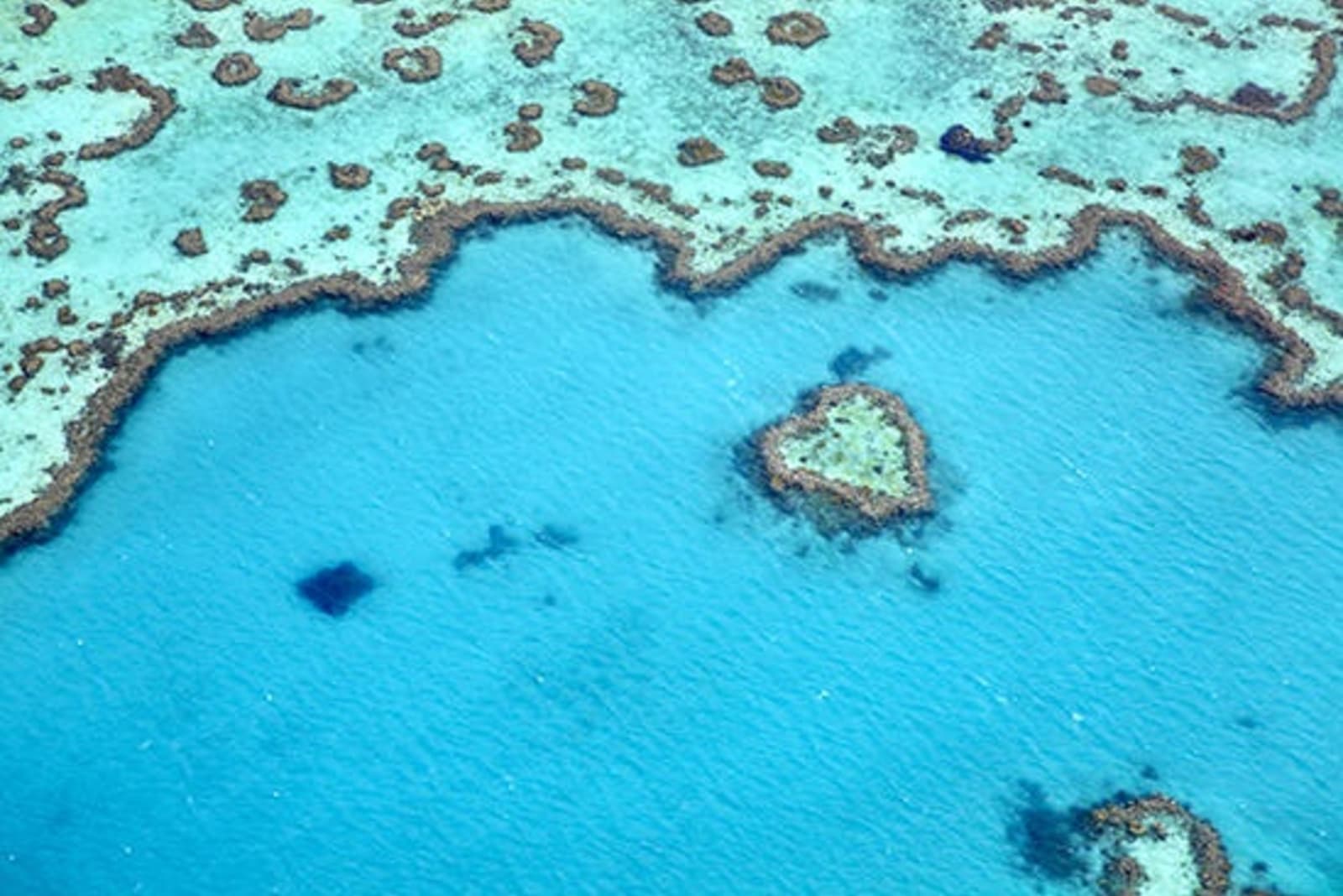 RS-2-Barrier-Reef-Matt-Munro-Lonely-Planet.jpg