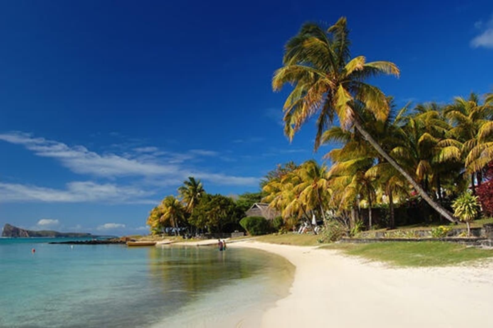 RS-Beautiful-palm-beach-on-Mauritius-island-resize.jpeg